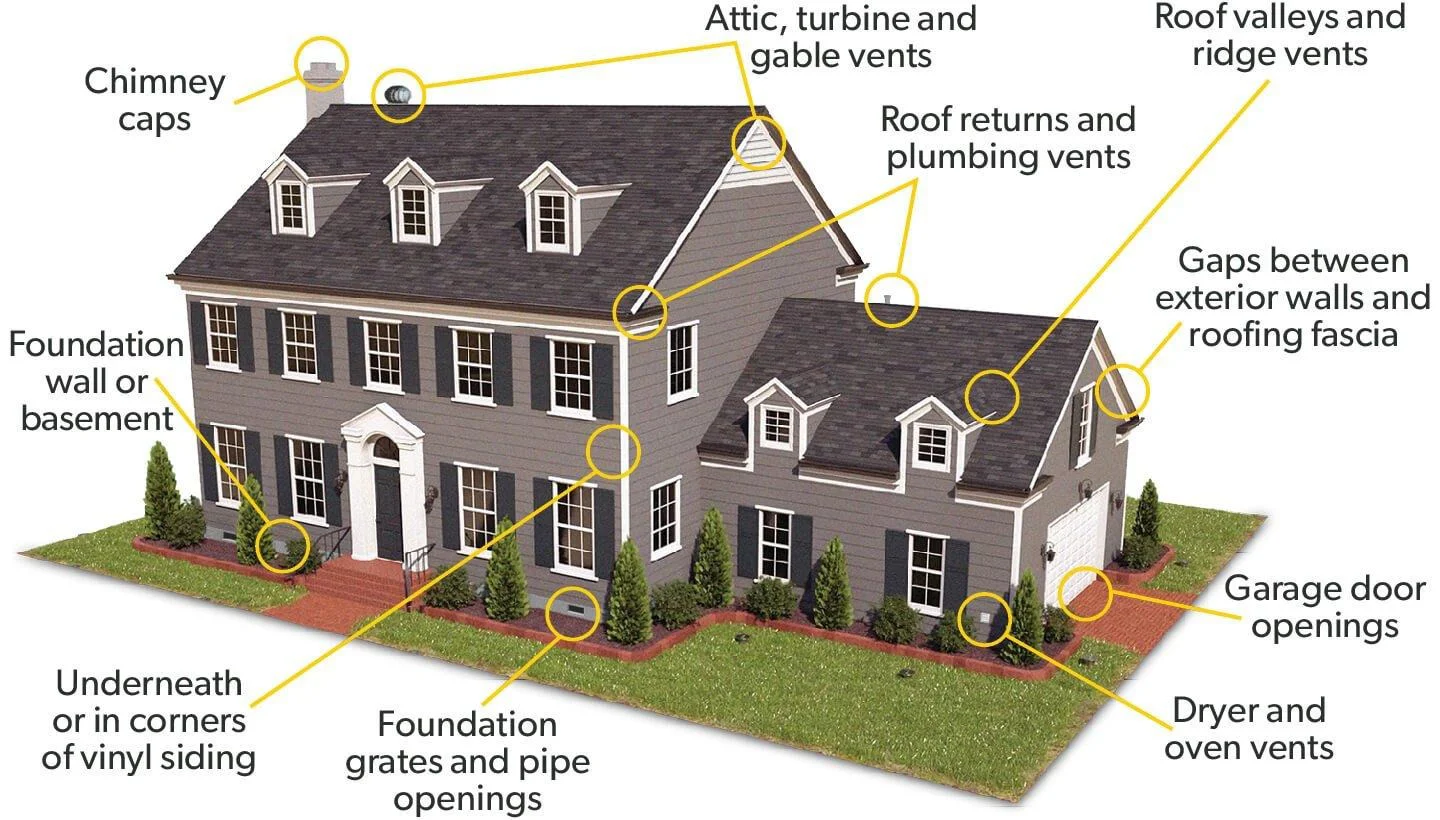 Terminix exclusion house infograph